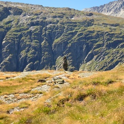 2015-07 Savoie/Lac blanc/DSC_0175.JPG